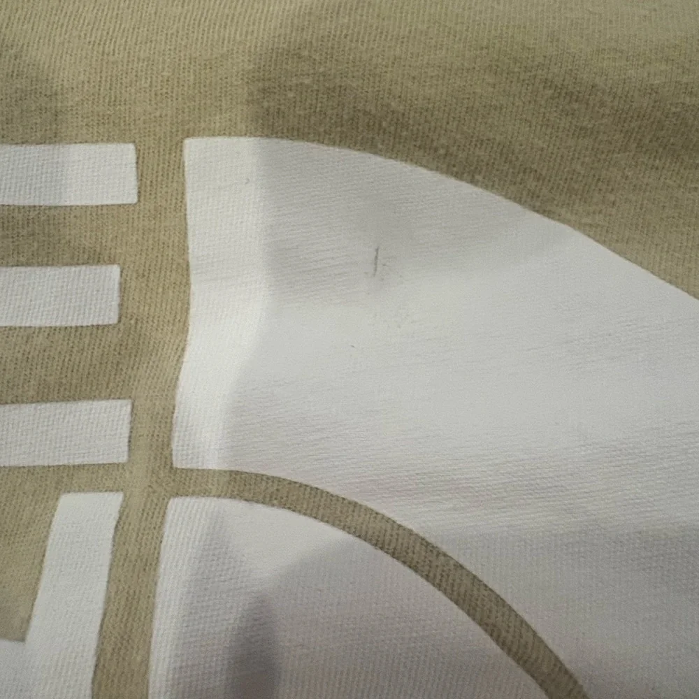 The North Face Logo Tee in Light Tan with White Print